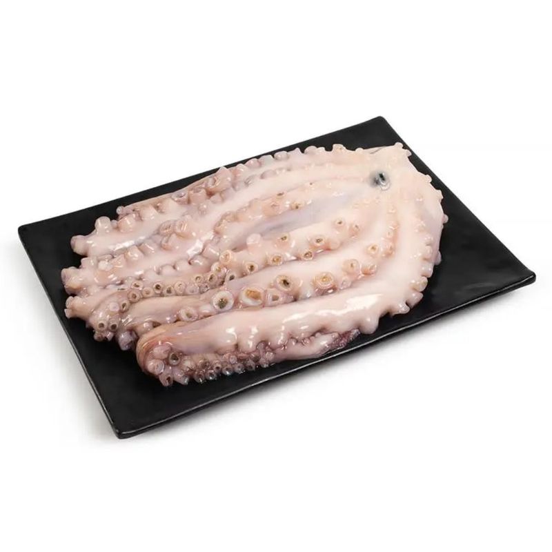 132899-polvo-inteiro-fresco-momento-mambo-kg