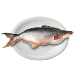 Panga Inteira Resfriada Mambo Kg