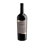 279644-Vinho-Argentino-Tinto-Malbec-Gran-Reserva-Chateau-Garbin-750ml.jpg