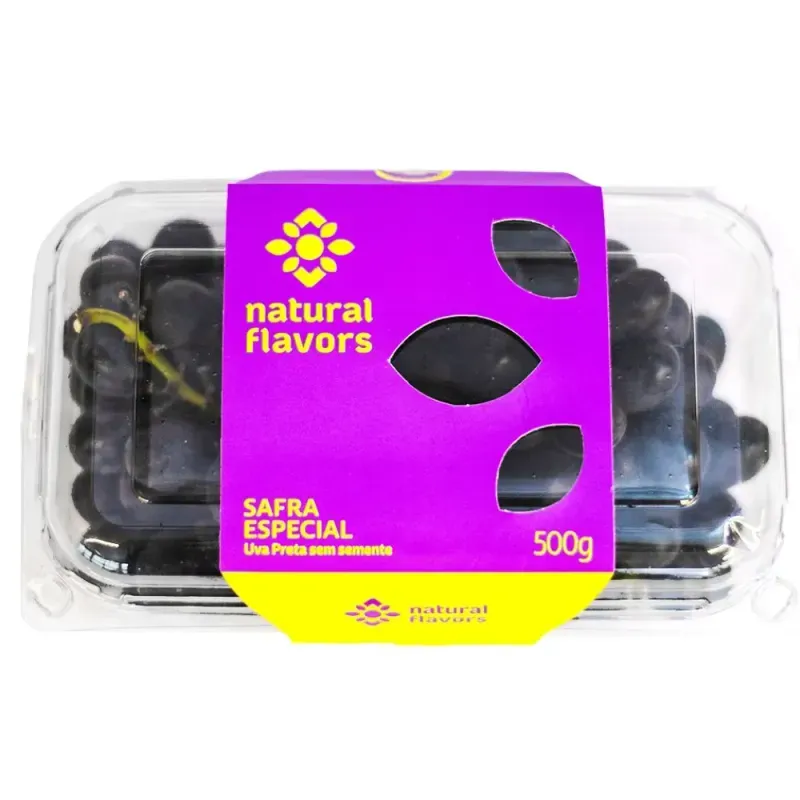 Uva-Preta-sem-Semente-Natural-Flavors-500g.jpg
