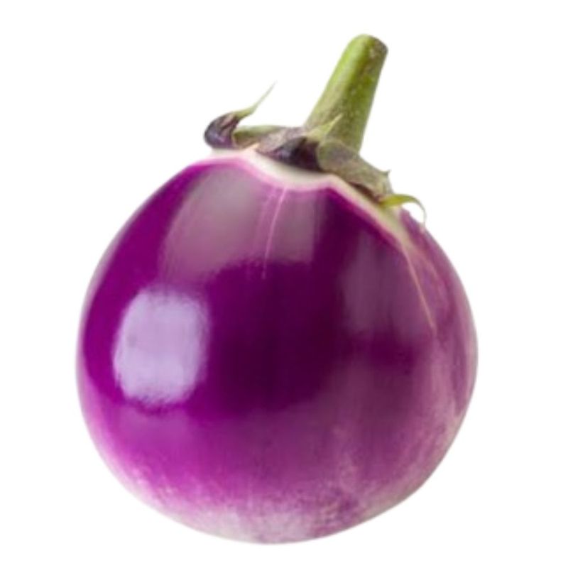 257196.jpg