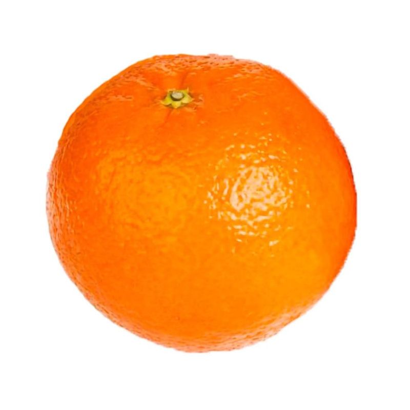 247664.jpg