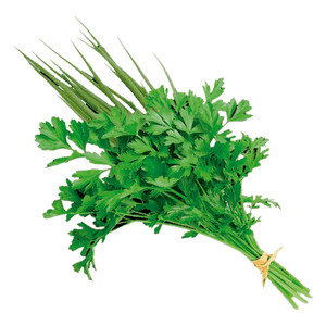 Cheiro-Verde Orgânico Nutriens 60g