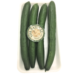 Pepino Japonês Viva Natural 500g