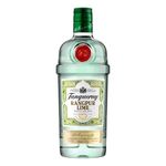 Gin-Ingles-Rangpur-Tanqueray-700ml