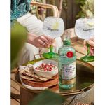 Gin-Ingles-Rangpur-Tanqueray-700ml