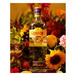 gin-ingles-gordons-750ml-4