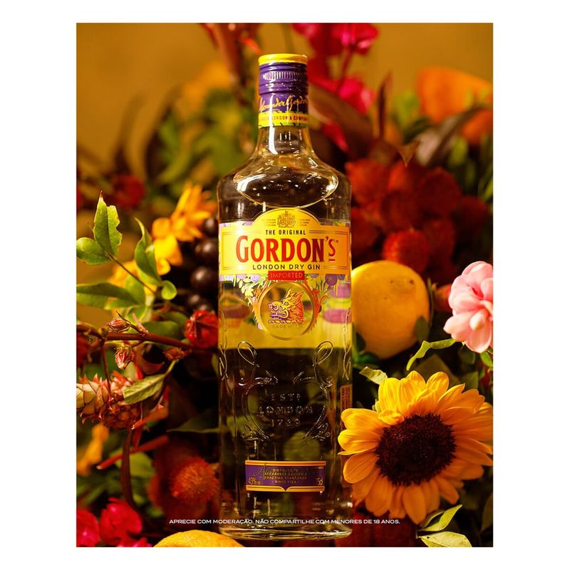 gin-ingles-gordons-750ml-4