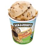 Sorvete-Vegano-Chocolate-Chip-Cookie-Dough-Ben-Jerrys-458ml