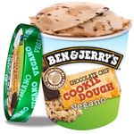Sorvete-Vegano-Chocolate-Chip-Cookie-Dough-Ben-Jerrys-458ml