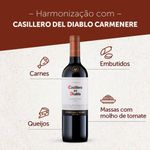 Vinho-Chileno-Tinto-Carmenere-Casillero-Del-Diablo-750ml
