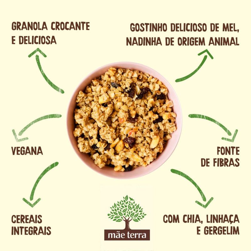 173069-granola-sem-acucar-frutas-e-mel-mae-terra-800g--7-