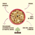 171434-granola-tradicional-mae-terra-250g--7-