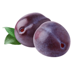 282841.png