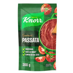 Molho de Tomate Passata Gourmet Knorr 300g