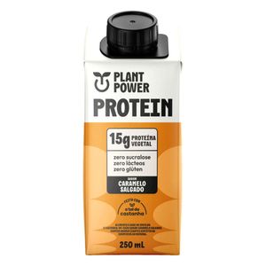 Bebida Vegetal de Caramelo Salgado 15g de Proteínas Sem Lactose Plant Power 250ml