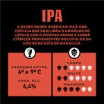 Cerveja-Baden-Baden-Ipa-350ml