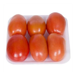 Tomate Italiano Orgânico Mambo 500g