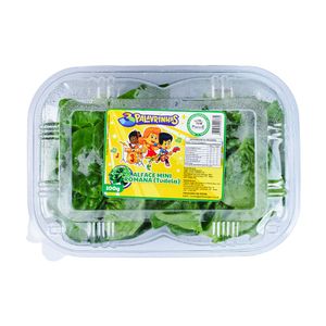 Alface Mini Romana 3 Palavrinhas 100g