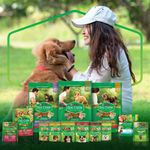 7891000115657 - NESTLÉ® PURINA® DOG CHOW® ExtraLife® Ração Úmida para Cães Adultos de Todos os Tamanhos Frango 100g Adultos Todos os Tamanhos sabor Frango 100g - 1.jpg