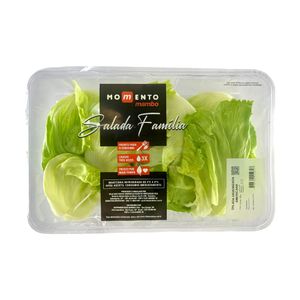 Salada Família Americana Momento Mambo 350g