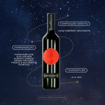 7790717152118 - Vinho Tinto Bodega Dante Robino Novecento Cabernet Sauvignon 750ml Garrafa - 2.jpg