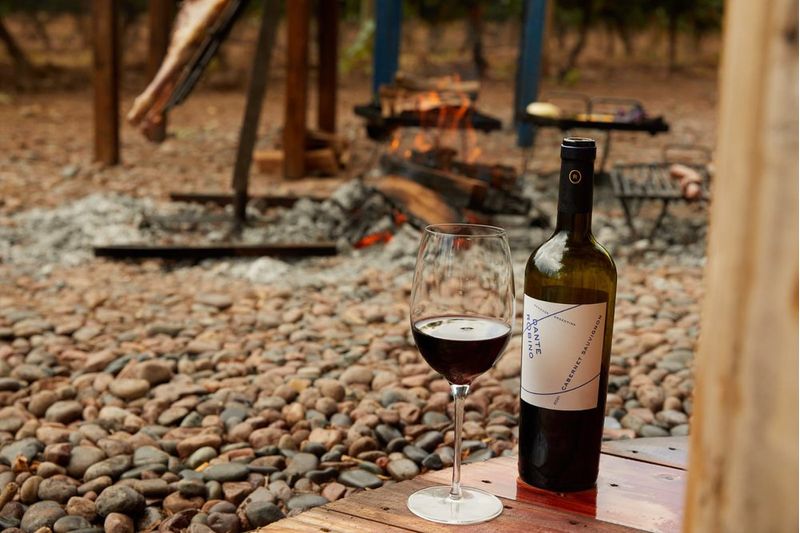 7790717151067 - Vinho Tinto Bodega Dante Robino Cabernet 750 ml Garrafa - 3.jpg